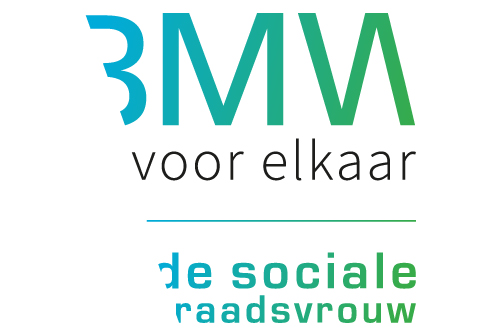 de sociale raadsvrouw